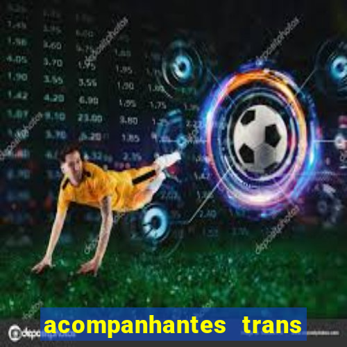 acompanhantes trans porto seguro